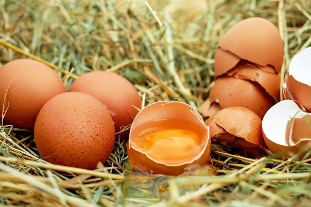 до чого сняться яйця