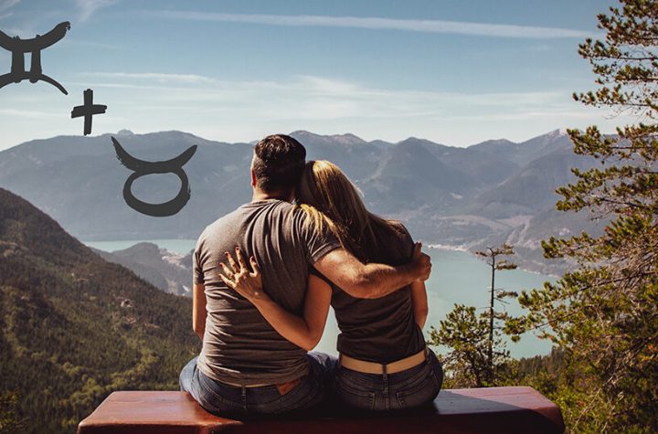 телец и близнецы совместимость