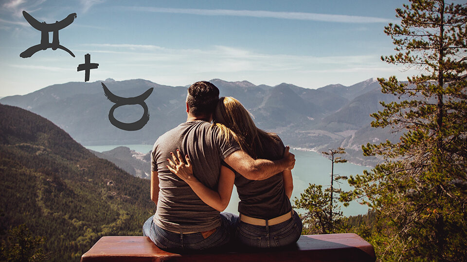 телец и близнецы совместимость